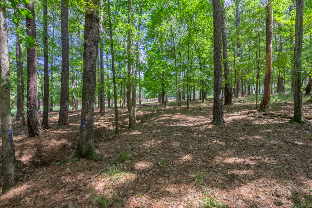 2721 Parrott's Pointe Road image 6